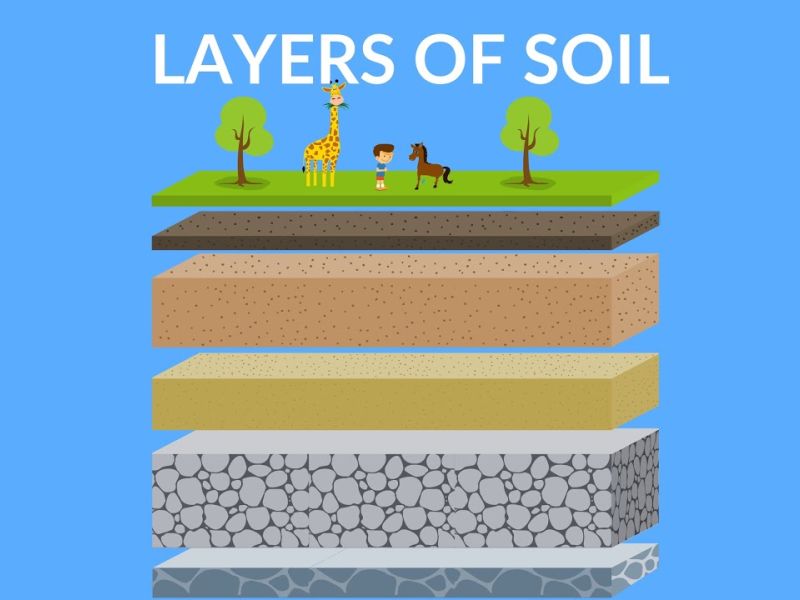 layers of soil soil formation