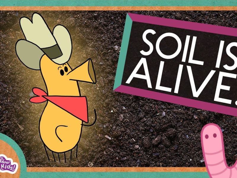 soil is alive scishow kids