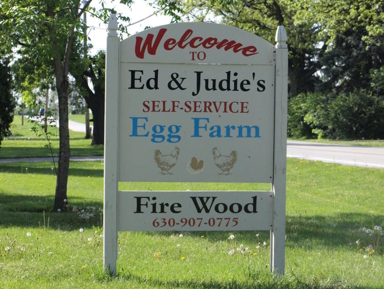 Ed & Judie's Egg Farm